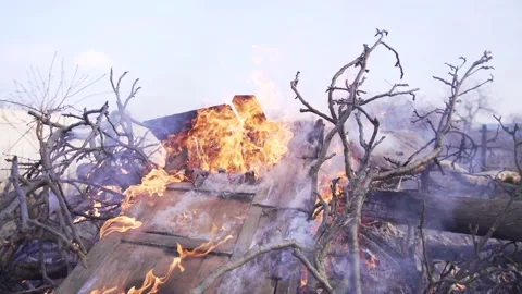Burning garbage, branches, trees in a landfill. Fire and smoke from a campfire. Stock Footage 209655032
