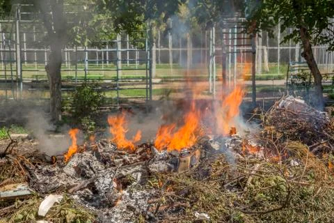 Burning garbage dump 写真素材