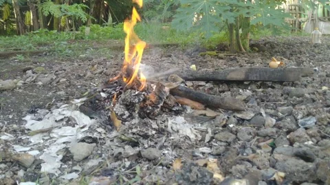 Burning garbage Stock Footage 234721956