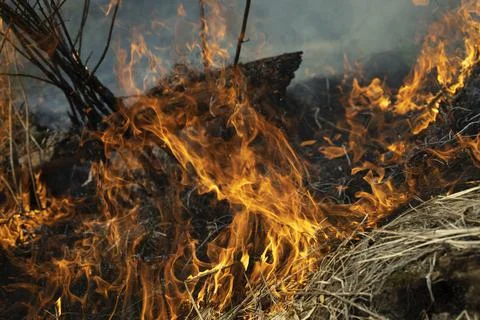 Burning of garbage. Set fire to illegal landfill. Flames and smoke. Stock Photos