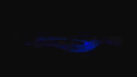 Burning on a gas stove in the kitchen Video stock 75216920