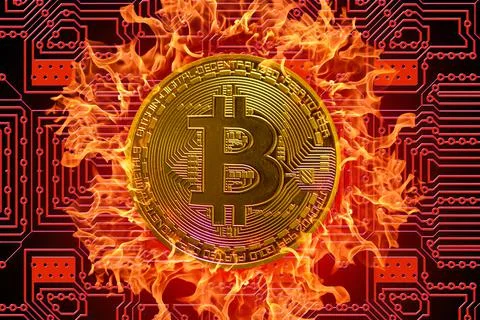 Burning golden valueable single bitcoin from crypto currency with a red board Stock Illustration