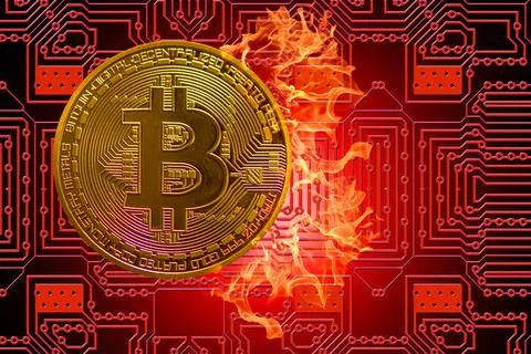 Burning golden valueable single bitcoin from crypto currency with a red board Stock Illustration