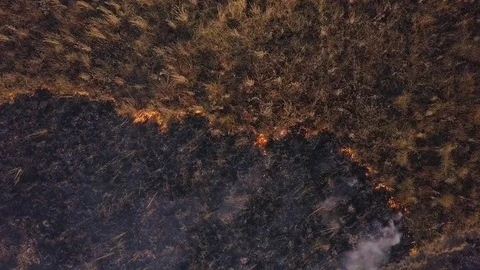 Burning Grass From Above Stock Footage 76727837