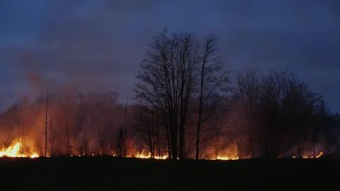 Burning grass and trees at dusk Stock Photos