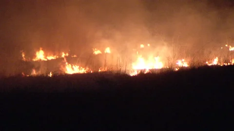 Burning grass in a field brush fire at night background Stock Footage 236333789