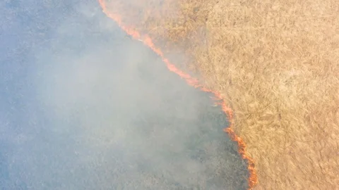 Burning grass, fire on the fields, aerial footage Stock Footage 106107157