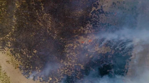 Burning Grass in Large Field 動画素材 288320725