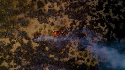 Burning Grass in Large Field 動画素材 288321200