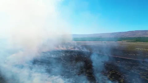 Burning Grass in Large Field 動画素材 288322807