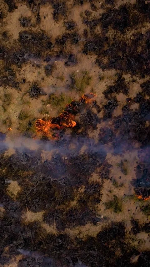 Burning Grass Large Field Vertical Video Stock Footage 334879597