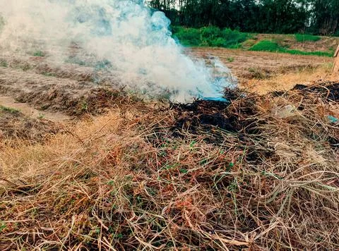 Burning grass Stock Photos