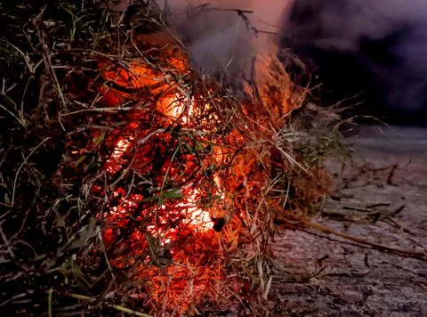 Burning grass Stock Photos