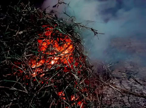 Burning grass Stock Photos