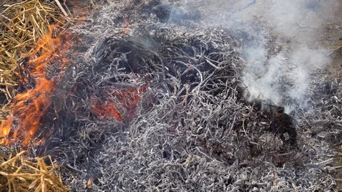Burning grass red fire in the background Stock Footage 89810439