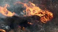 Burning grass in the steppe HD Footage