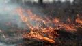 Burning grass in the steppe HD Footage
