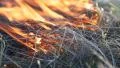 Burning grass in the steppe HD Footage
