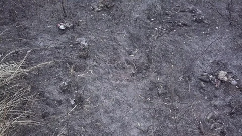 Burning grass, straw and stubble with heavy smoke. which is a dangerous globa Stock Footage 122995348