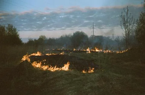 Burning Grass At Sunset In The Evening Stockfoto's