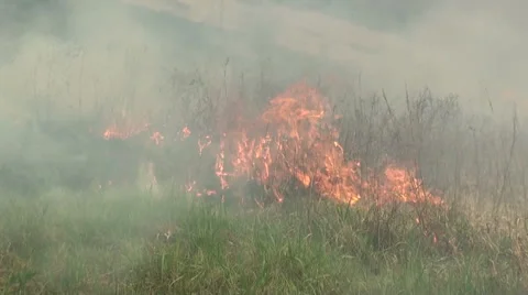 Burning Grasses Stock Footage 54754607