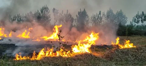 Burning ground Vídeos de archivo 238695738