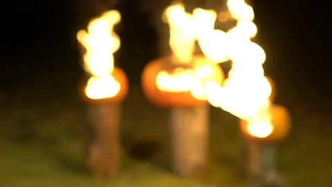 Burning halloween pumpkins on tree log in darkness, field, mist, dusk. Scary 스톡 동영상 81570596