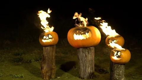 Burning halloween pumpkins on tree log in darkness, field, mist, dusk. Scary 스톡 동영상 81571341