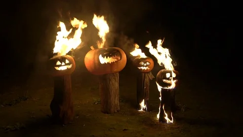 Burning halloween pumpkins on tree log in darkness, field, mist, dusk. Scary Video stock 81657914