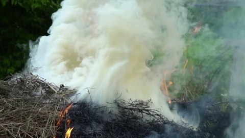 Burning Hay smoke Stock Footage 79095250