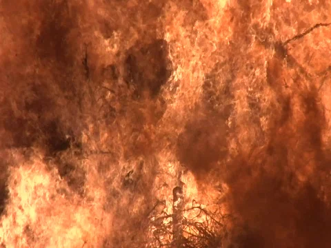 Burning Heap Vídeo Stock 356507