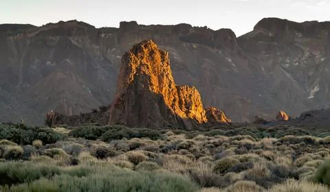 Burning hillside with flames at dusk Stock Photos