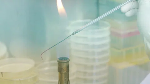 Burning Hook lab equipment Extra close up slowmotion 50fps Vídeos de archivo 246408700