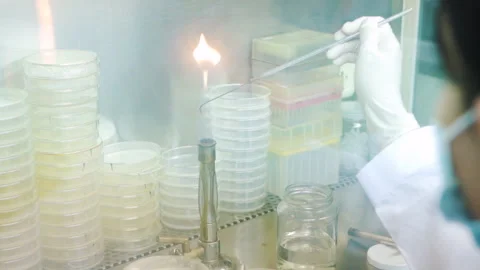Burning Hook lab equipment Medium shot 50fps Stock-Footage 246408754