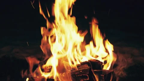 Burning hot bonfire on dark background. Fire orange flames on black in camping Stock Footage 146441722