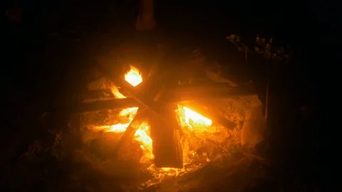 Burning hot fireplace in forest at dark night. Video stock 82222684
