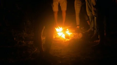 Burning hot fireplace in forest at dark night. Vídeo Stock 82222906