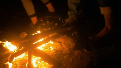 Burning hot fireplace in forest at dark night. Видео 82223033