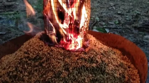 Burning Husks Stock Footage 242599715