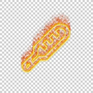 Burning icon thermometer on transparent background. Flames and small fire Stock Illustration