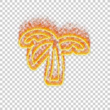 Burning icon tree palm on transparent background. Flames and small fire 스톡 일러스트