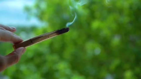 Burning incense Stock Footage 132110816