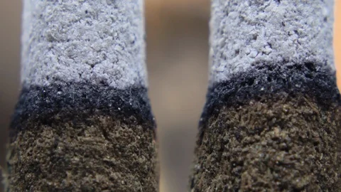 Burning incense macro conceptual extreme closeup asmr Stock Footage 108521605