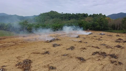 Burning land Stock Footage 122580676