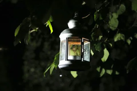 Burning lantern in the dark, illuminating the tree with green leaves 库存照片
