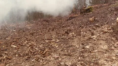 Burning leaves in autumn Stock Footage 10883024