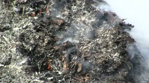 Burning leaves 스톡 동영상 10878092