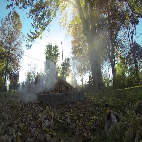 Burning Leaves Smoking Stock Footage 69298057