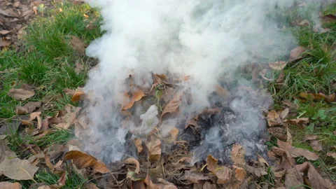 Burning leaves in the yard Stock Footage