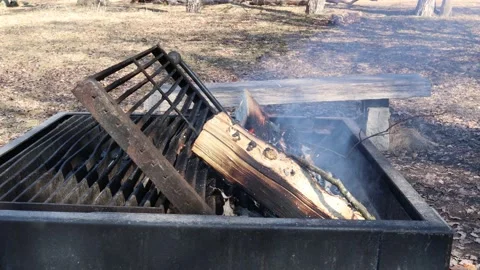 Burning log at a camp fire. Stock Footage 240036104